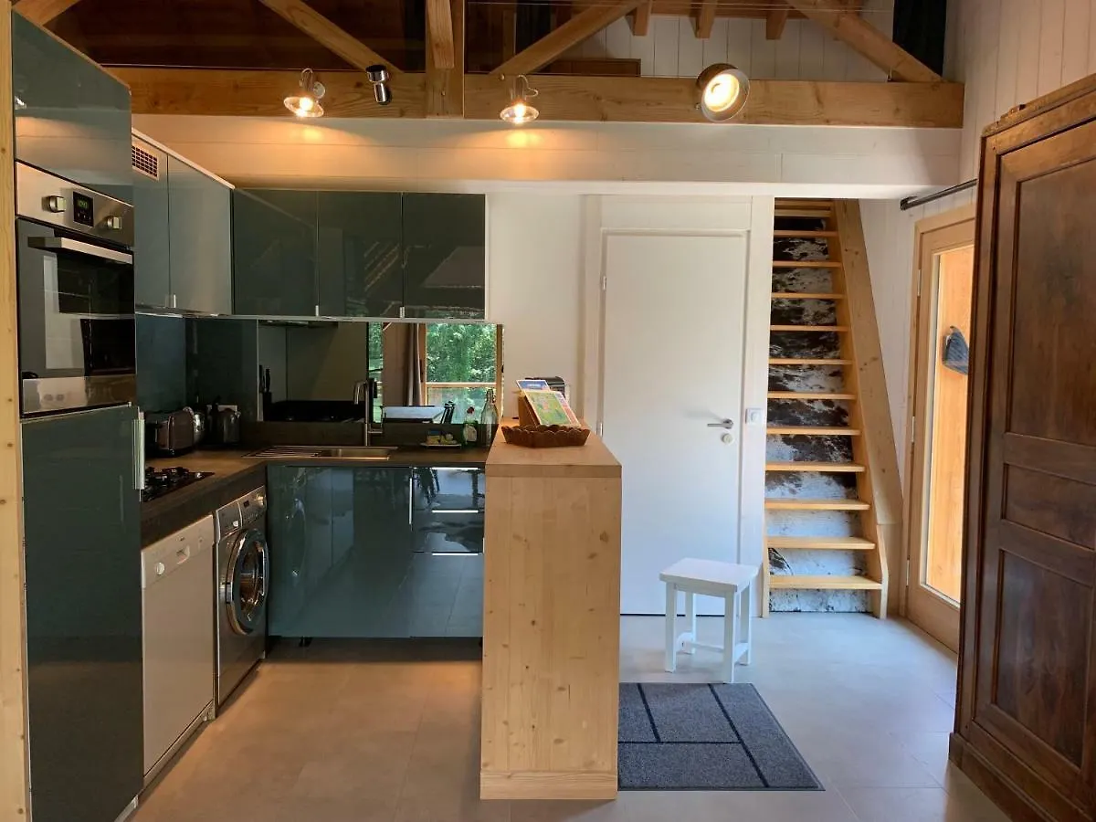 Appartement L'Orée du Vert Le Bourg-dʼOisans France